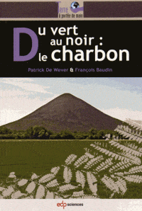 Du vert au noir - Le charbon