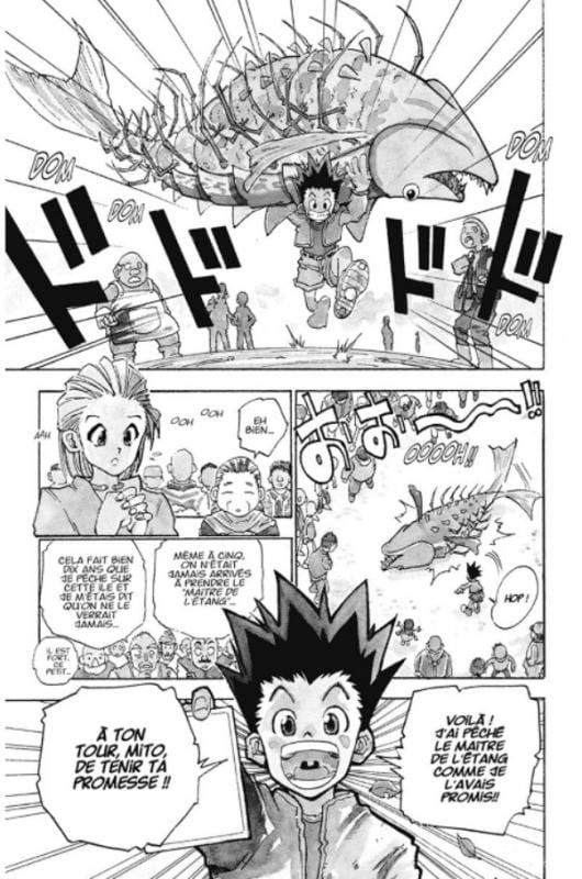 Hunter X Hunter T01