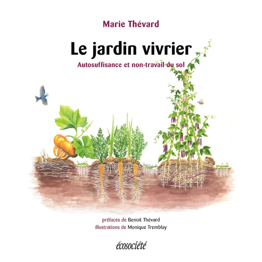 Le jardin vivrier : Autosuffisance et non-travail du sol