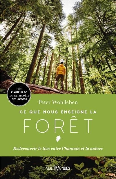 Ce que nous enseigne la forêt
