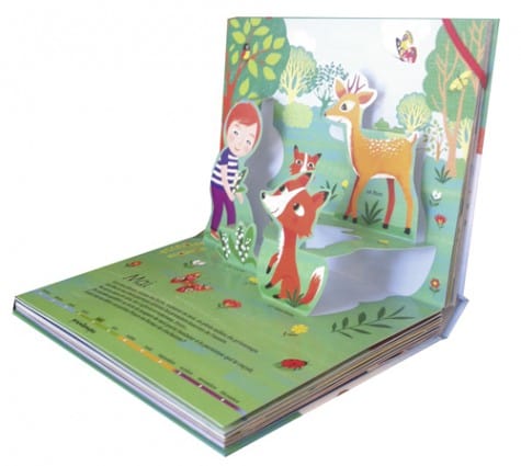 Les 12 mois de mon année en relief