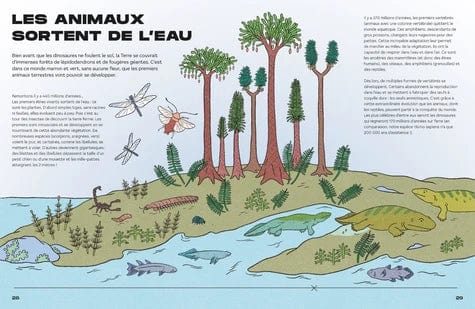 La grande histoire de la vie - De nous jusqu'au big bang