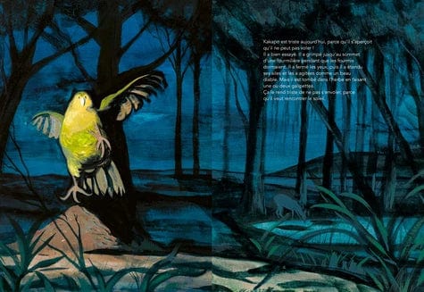 KaKapo et Pipistrelle