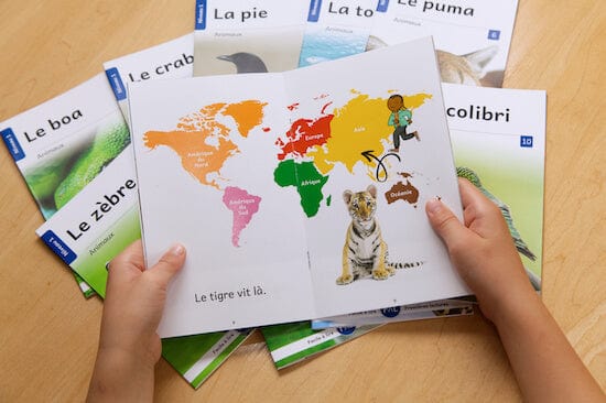 Ensemble Facile à lire - Les animaux 1 - Niveau 1 (édition laminée)