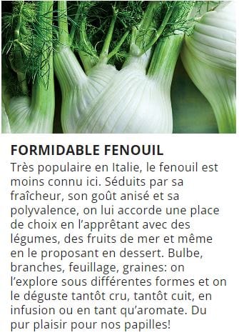 Magazine Ricardo - T20 Nr6