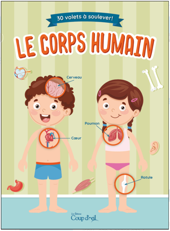 Le corps humain