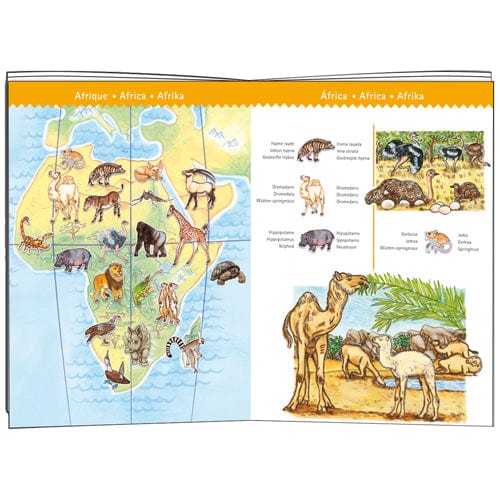 Puzzle observation - Animaux - 100 pcs