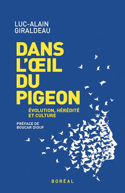 Dans l’œil du pigeon