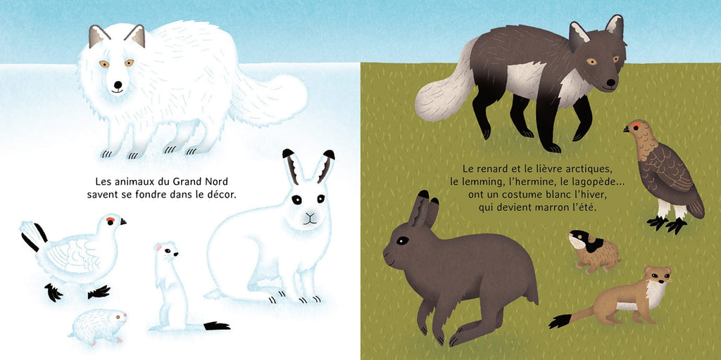 La p'tite banquise: les animaux du froid