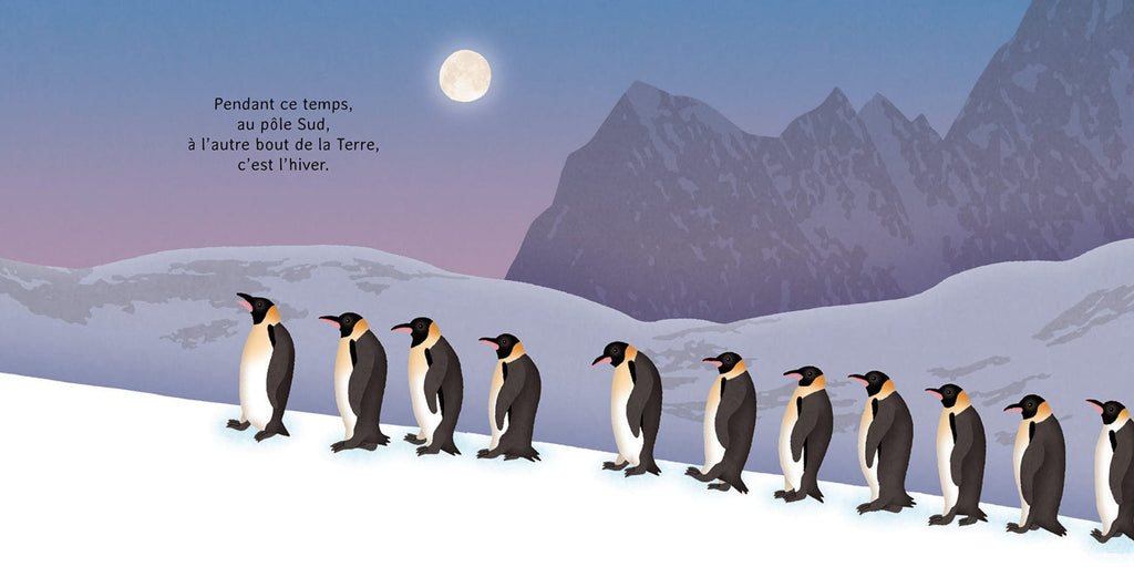 La p'tite banquise: les animaux du froid