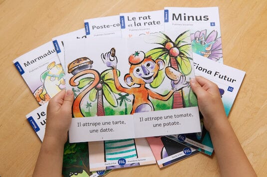 Ensemble Facile à lire - Poèmes bizarres - Niveau 1 (Nouvelle édition)