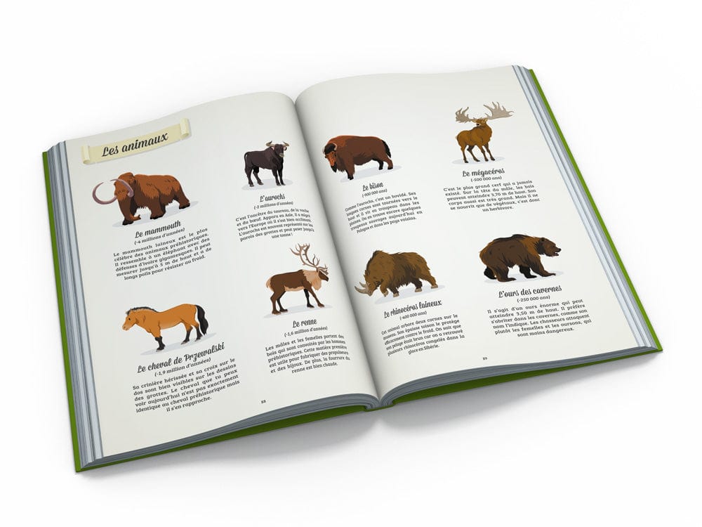 Beau livre - La Préhistoire
