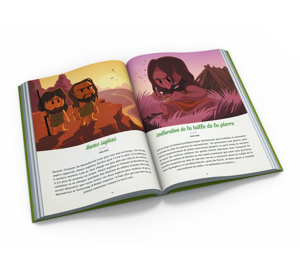 Beau livre - La Préhistoire