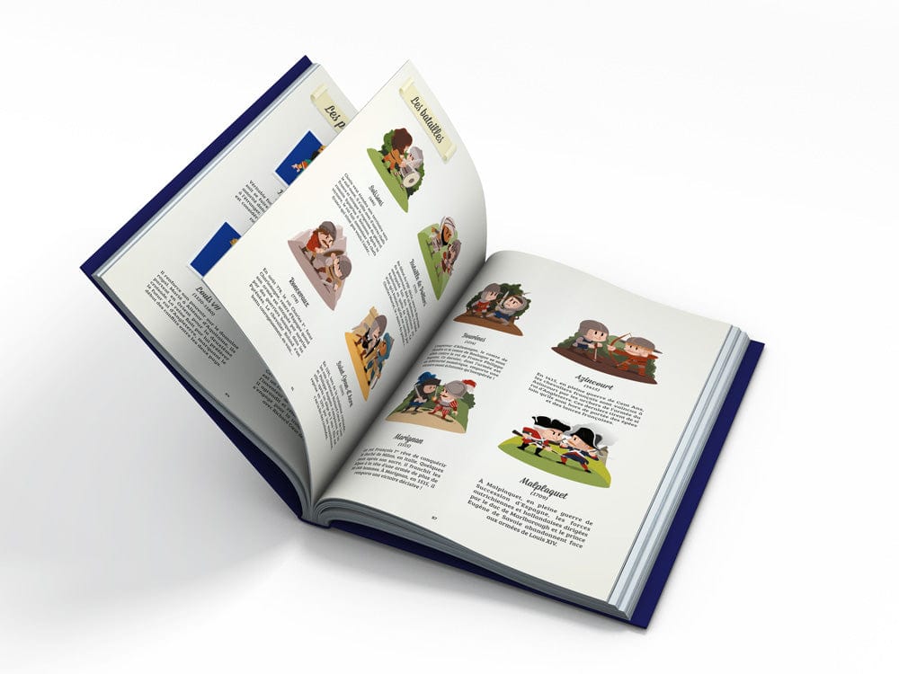 Beau Livre - Les Rois de France