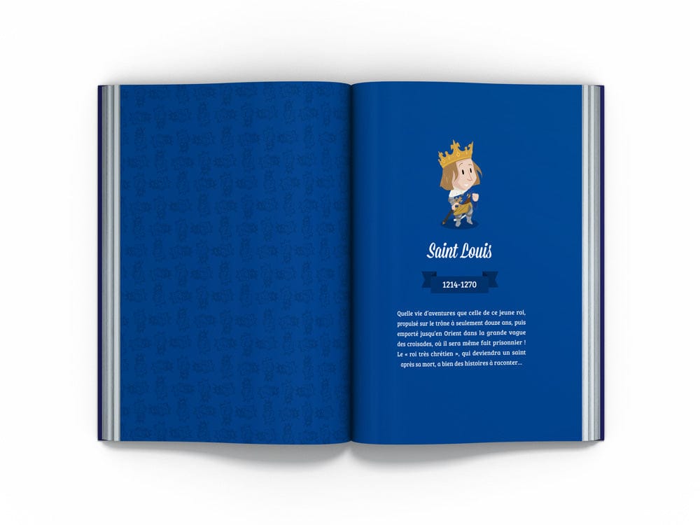 Beau Livre - Les Rois de France