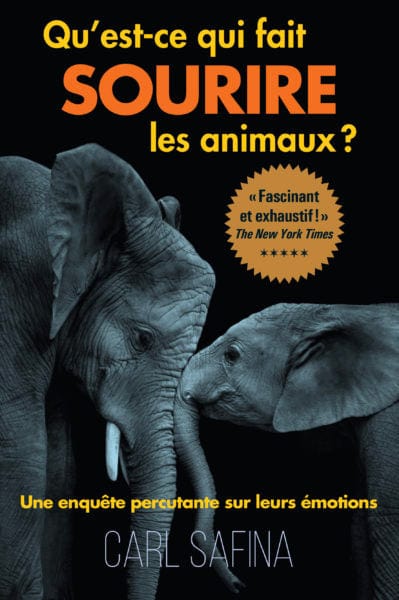 Qu'est-ce qui fait sourire les animaux?