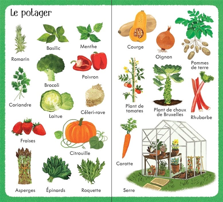 199 images du jardin