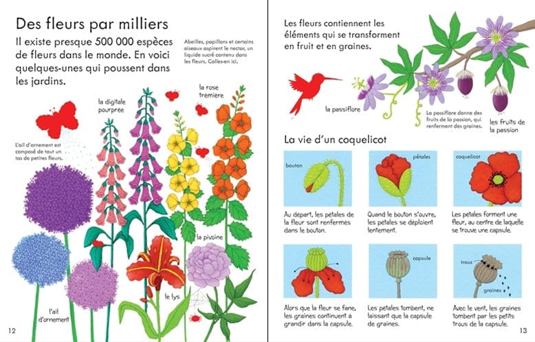 Mon premier livre avec des autocollants - Ça pousse comment?