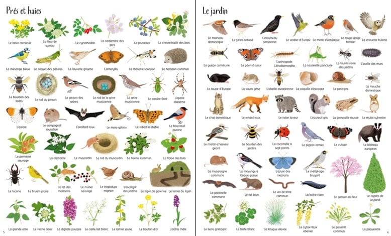 1000 choses à découvrir dans la nature