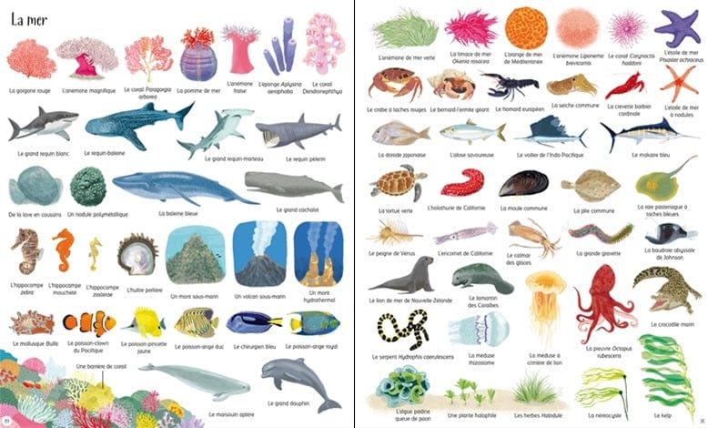 1000 choses à découvrir dans la nature