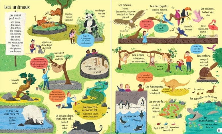 Mon grand livre illustré - Le monde des mots