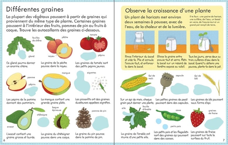 Mon premier livre avec des autocollants - Ça pousse comment?