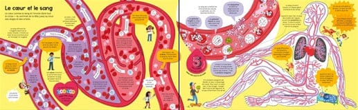 Mon livre du corps humain