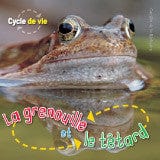 Cycle de vie - La grenouille et le têtard