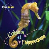 Cycle de vie - L'alevin et l'hippocampe
