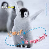 Cycle de vie - L'oeuf et le manchot