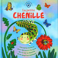 Cycles naturels - La petite chenille