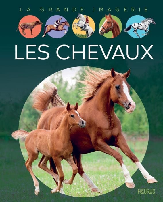 La grande imagerie - Les chevaux