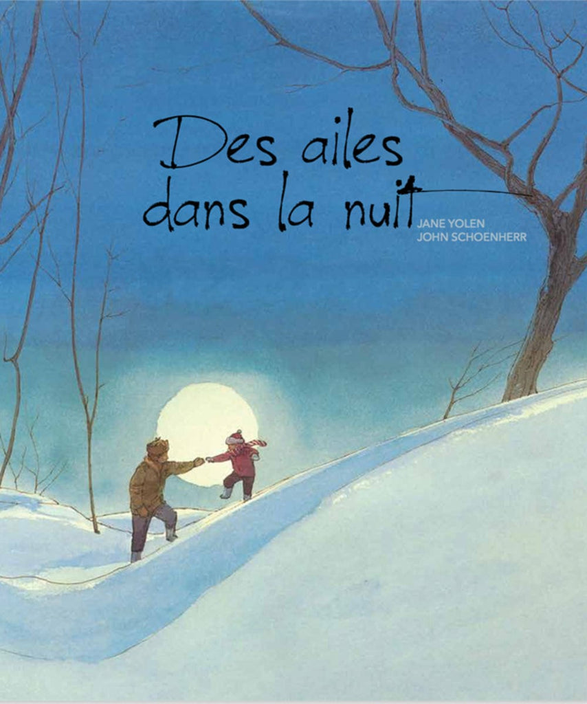 Des ailes dans la nuit