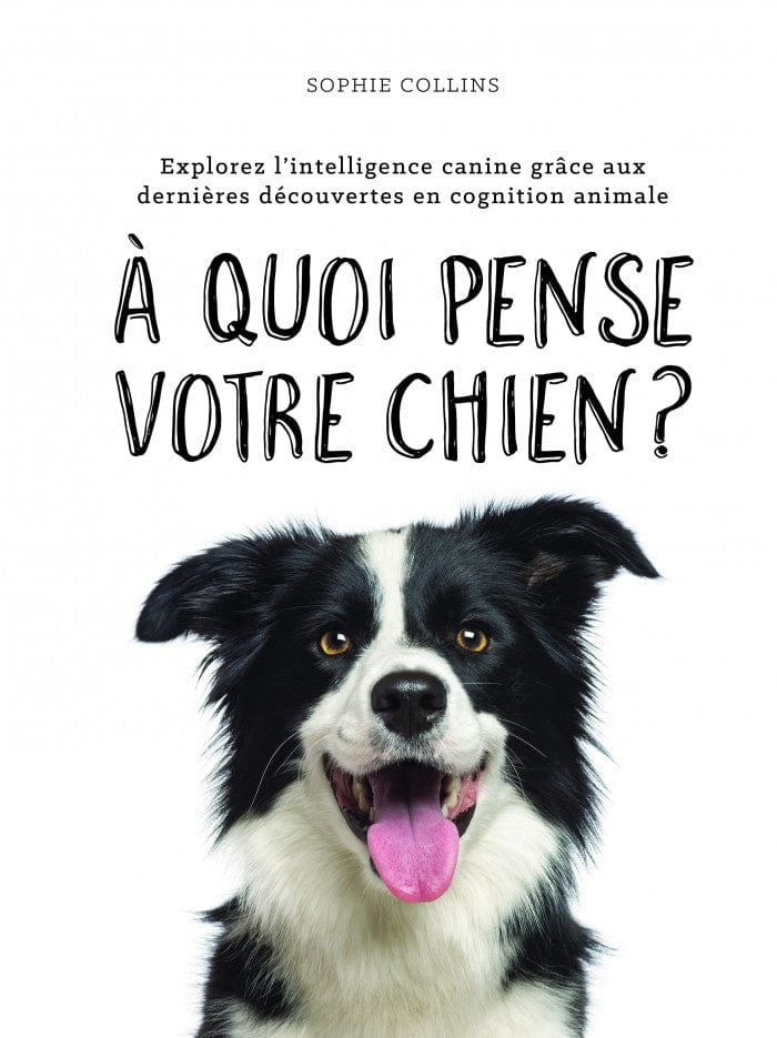 À quoi pense votre chien?