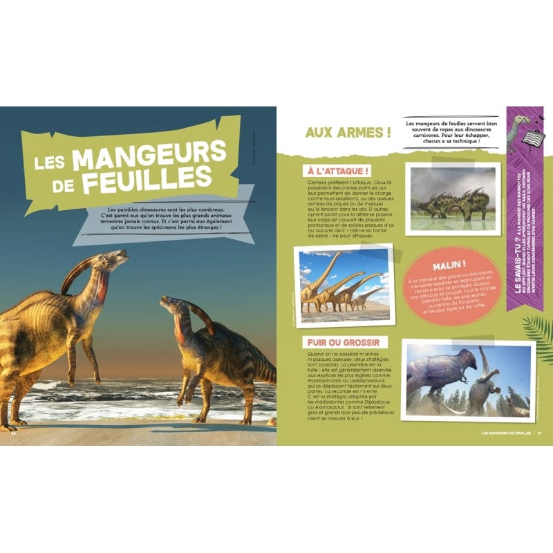 Je découvre et je comprends - Les dinosaures