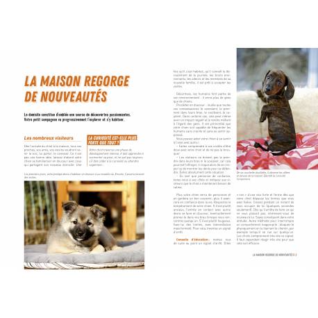 Mon chiot découvre le monde