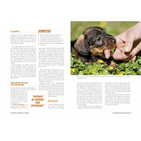 Mon chiot découvre le monde