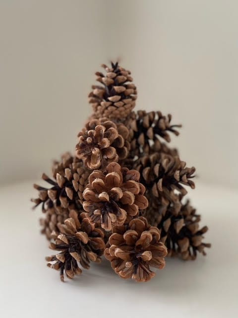 Petit sapin artisanal