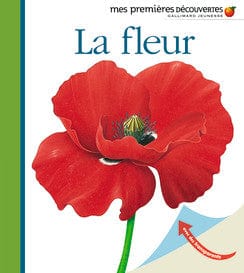 Mes premières découvertes - La fleur