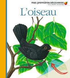 Mes premières découvertes - L'oiseau