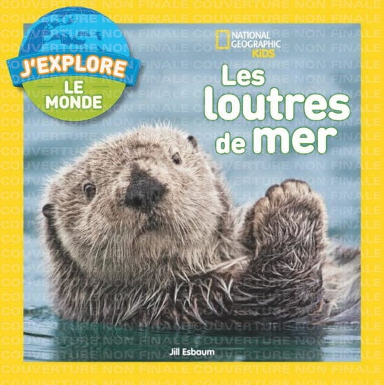 National Geographic kids -  Les Loutres de mer