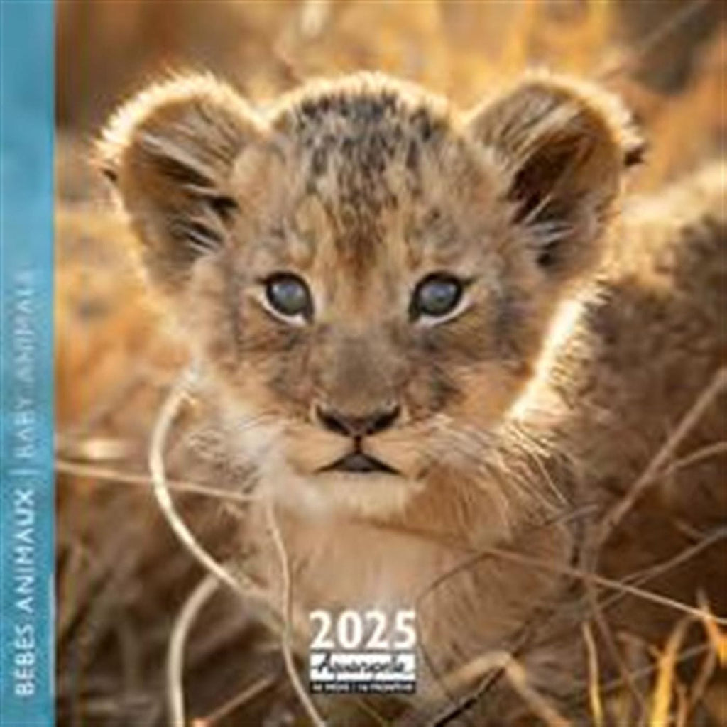 Calendrier 2025 Bébés animaux