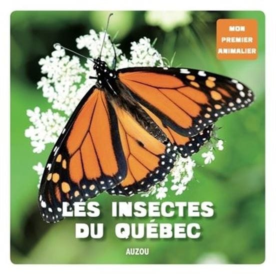 Mon premier animalier - Les Insectes du Québec