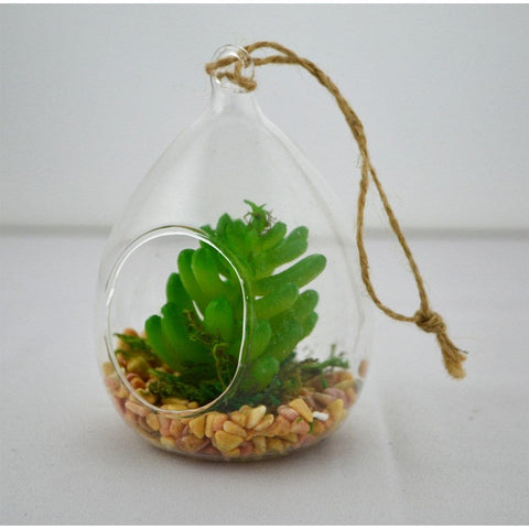 Décoration - Terrarium à suspendre