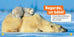 National Geographic kids - Les bébés animaux