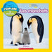 National Geographic kids - Les manchots