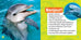 National Geographic kids - Les dauphins
