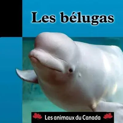 Les animaux du Canada - Les bélugas