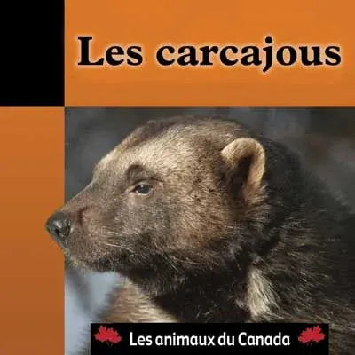Les animaux du Canada - Les carcajoux