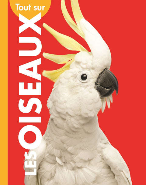 Tout sur les oiseaux